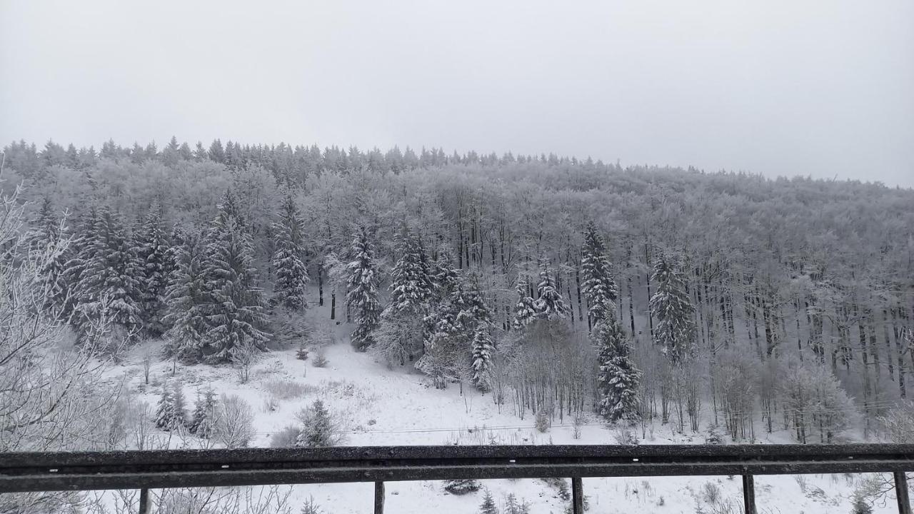 Monteur- Und Ferienwohnung Waldrauschen Fehrenbach 外观 照片