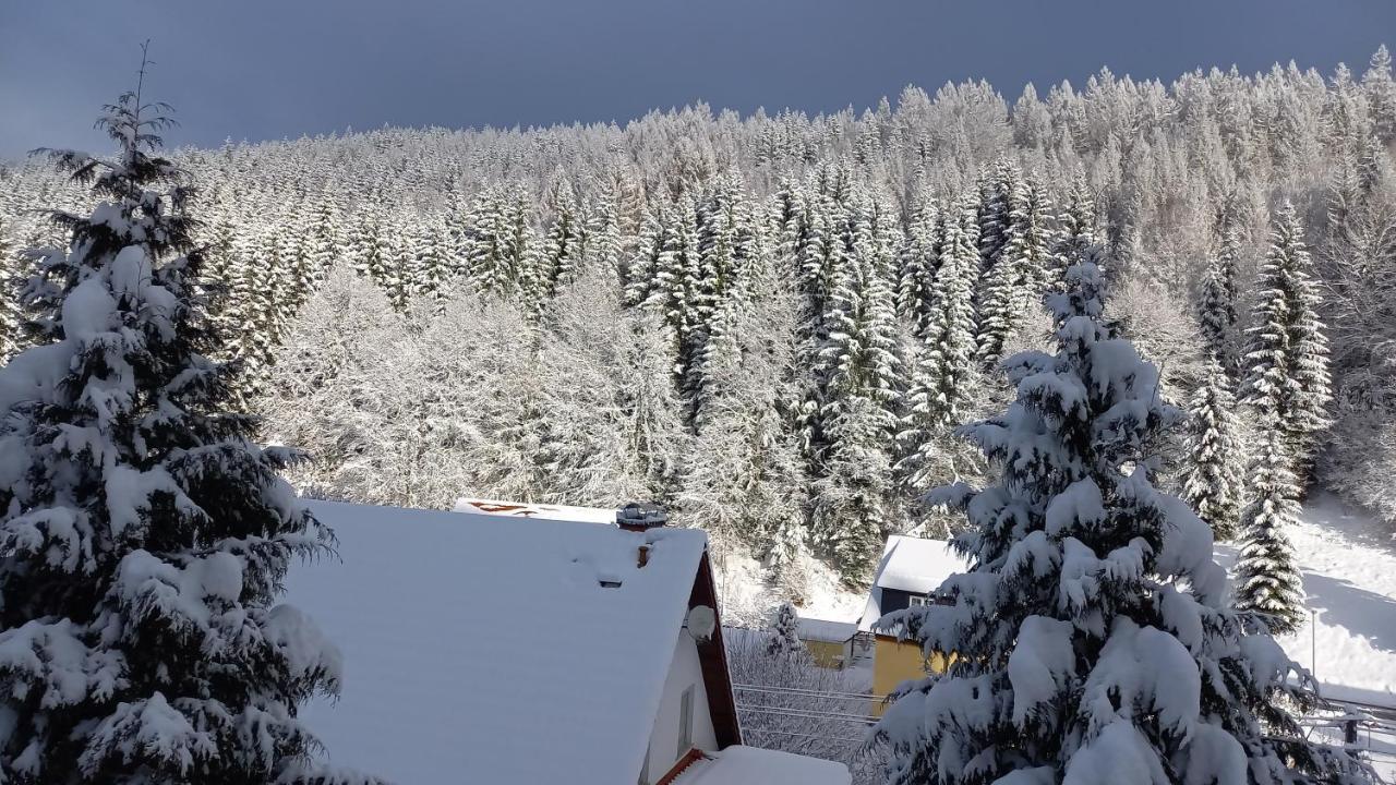 Monteur- Und Ferienwohnung Waldrauschen Fehrenbach 外观 照片