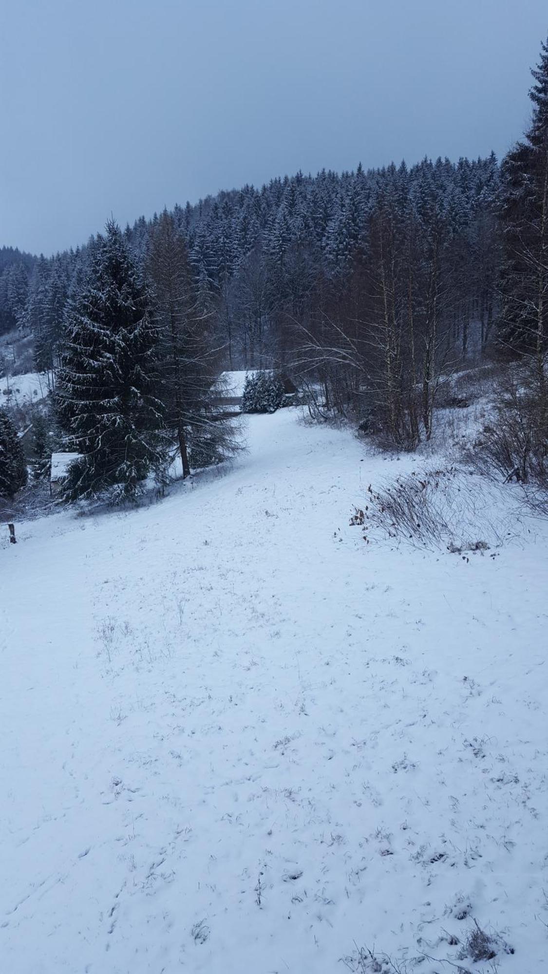 Monteur- Und Ferienwohnung Waldrauschen Fehrenbach 客房 照片